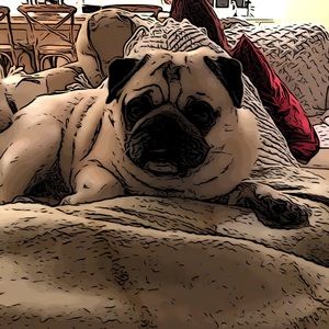 Meet your Posher, Chris